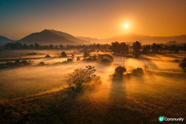 元朗南生圍「輻射霧」靚景😍有如世外仙境✨