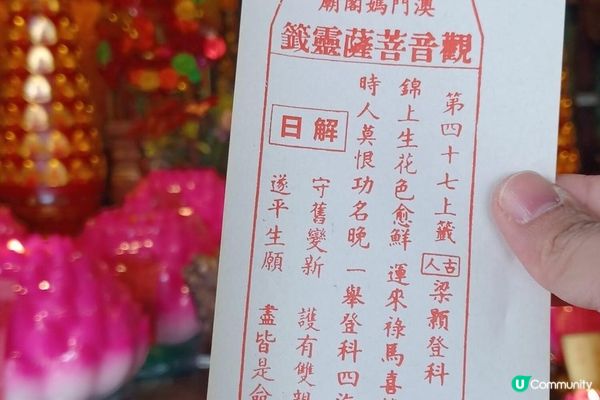 🐴 駿馬騰飛永利年年 2026