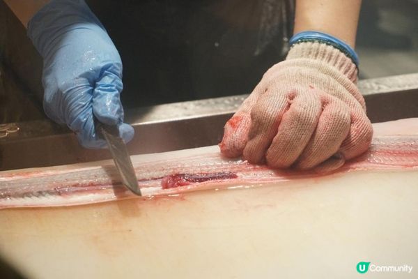 屯門【鰻丸】靜岡縣過江龍 鰻魚專門店
