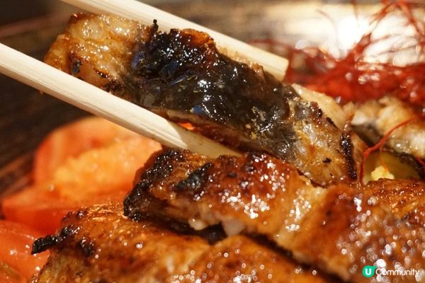 屯門【鰻丸】靜岡縣過江龍 鰻魚專門店