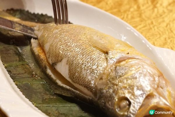 北角【君綽軒】品嚐爆膏大閘蟹 超高質!