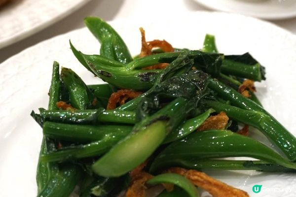尖沙咀【富豪酒家】阿翁鮑魚 果然與別不同