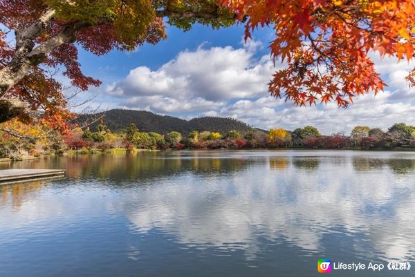 京都大覚寺之秋