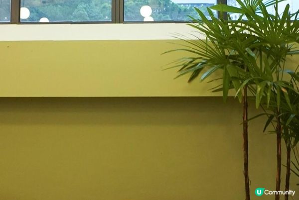 【飲食】KoBaNe by Minimal．落入南豐紗廠的「小羽毛」｜文迪．漫遊．慢生活｜