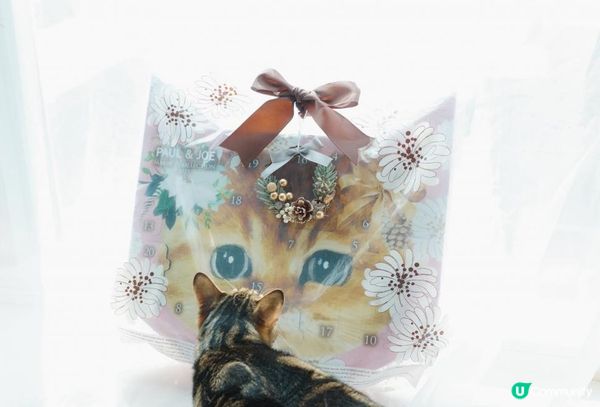 Paul & Joe 2023 Christmas Collection