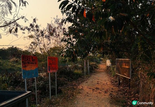 新手。遊車河[1] - 揸車去~下白泥