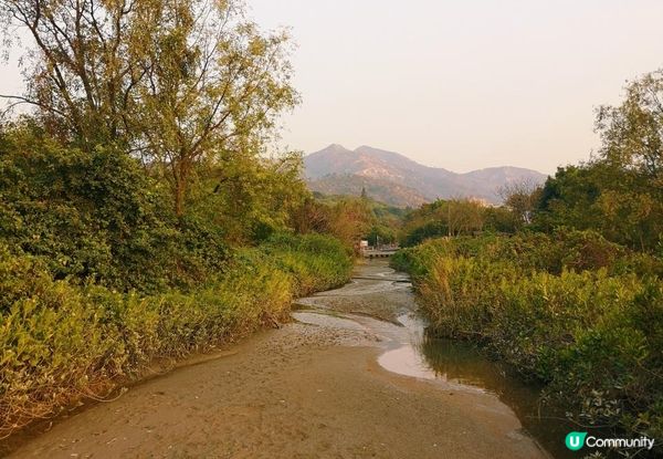 新手。遊車河[1] - 揸車去~下白泥