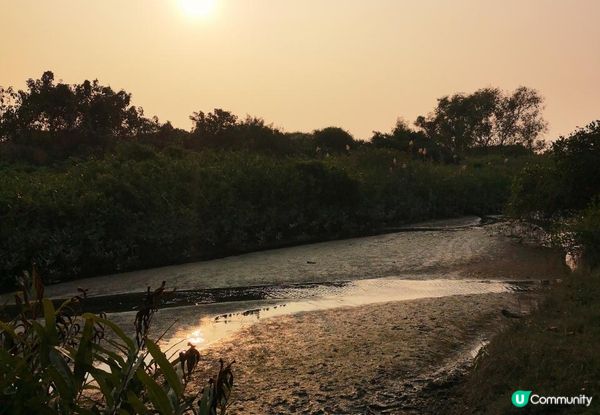 新手。遊車河[1] - 揸車去~下白泥