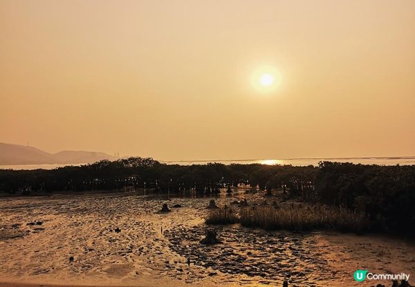 新手。遊車河[1] - 揸車去~下白泥