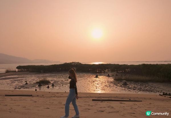 新手。遊車河[1] - 揸車去~下白泥