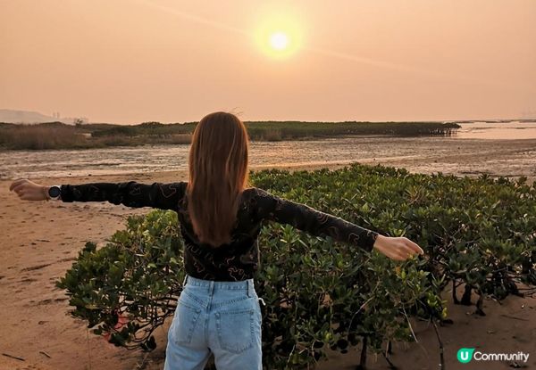 新手。遊車河[1] - 揸車去~下白泥