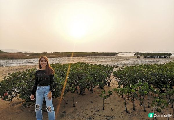 新手。遊車河[1] - 揸車去~下白泥