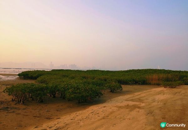 新手。遊車河[1] - 揸車去~下白泥