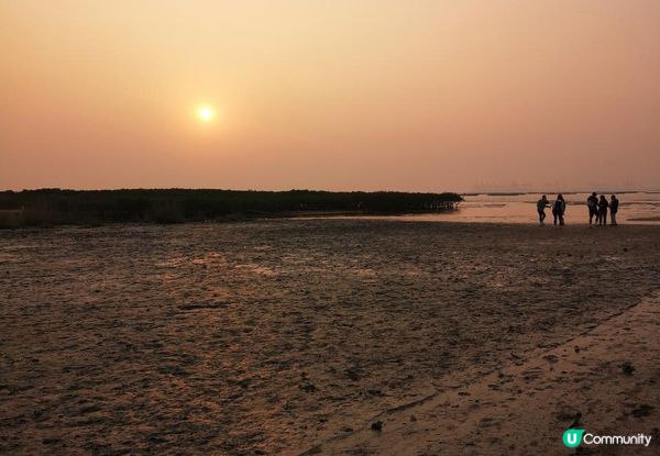 新手。遊車河[1] - 揸車去~下白泥