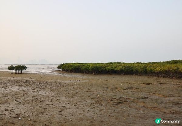 新手。遊車河[1] - 揸車去~下白泥