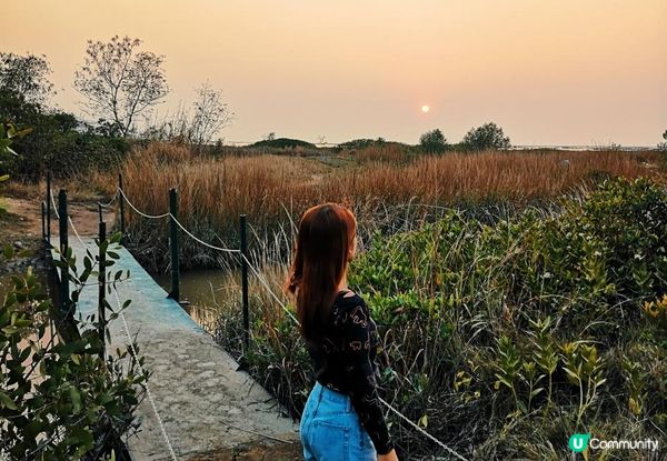 新手。遊車河[1] - 揸車去~下白泥