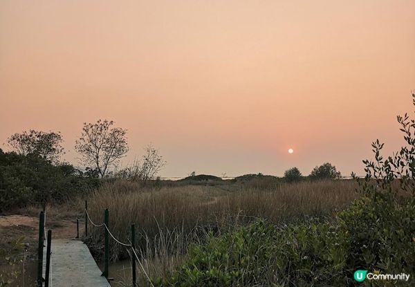 新手。遊車河[1] - 揸車去~下白泥