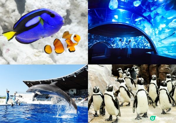 京都親子TOP3 必去，小孩最愛!