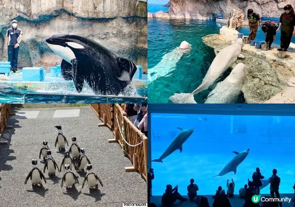 名古屋親子TOP 5 必去，小孩最愛!