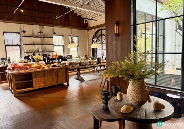 [順德民宿🏡 天! 花! 板!]