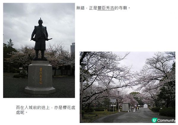 千里追櫻@京阪神奈(三) - 大阪