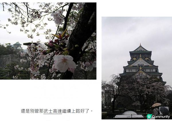 千里追櫻@京阪神奈(三) - 大阪