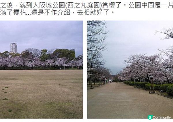 千里追櫻@京阪神奈(三) - 大阪