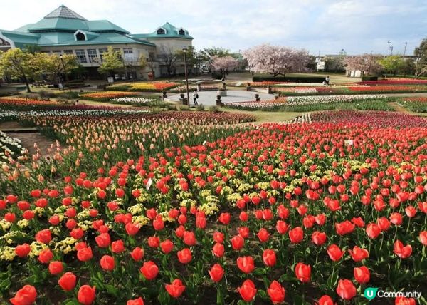 新潟ふるさと村~ 麻雀雖小 五臟俱全的好地方~!