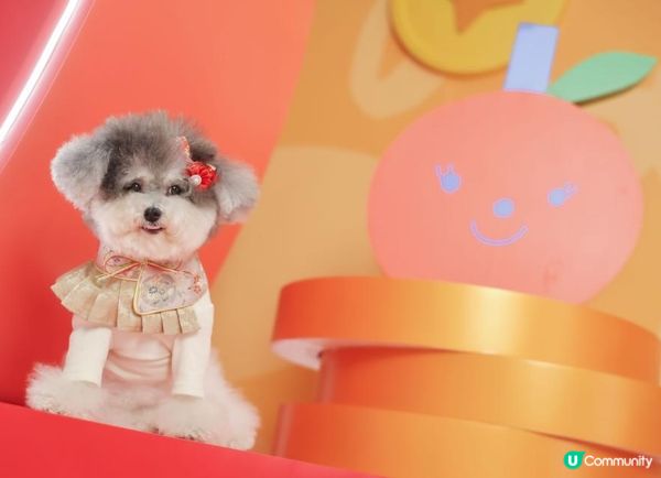 🌸 新春必到！PopWalk《遨遊心動花間》— 打卡、玩樂、親子寵物全攻略