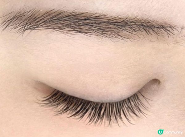 媽媽聖誕扮靚攻略｜銅鑼灣植眼睫毛推介｜效果自然巨美✨