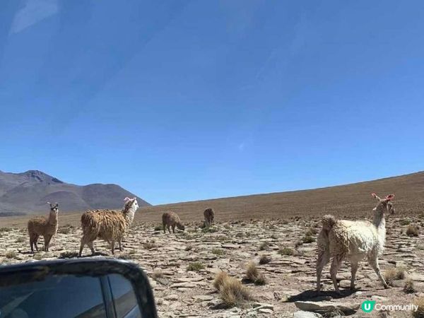 高端團旅遊點揀？5個關鍵標準避免踩坑｜REG Travel 指南