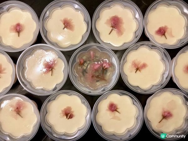 期間限定櫻花甜品系列 🌸💗。