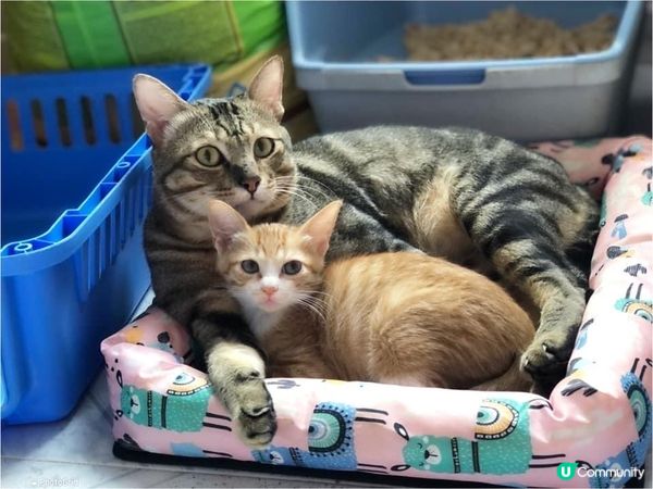 🐈溫馨一家人