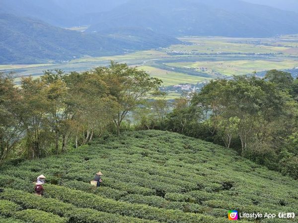 南花蓮之旅