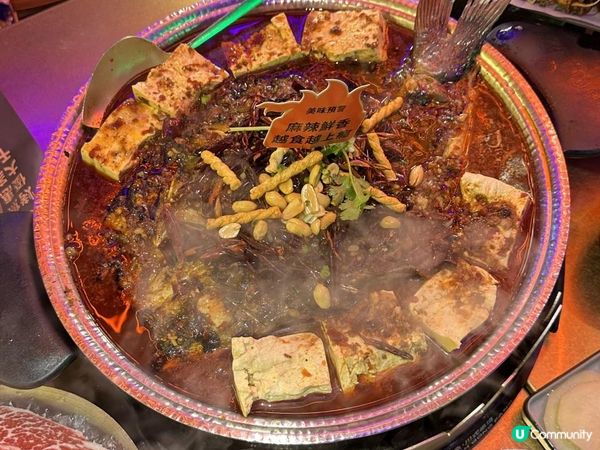 ♥烤魚界天花板♡烤魚火鍋燒烤串燒一次食勻♥夜店風裝修靚到嘩一聲♡打卡必去熱點♥