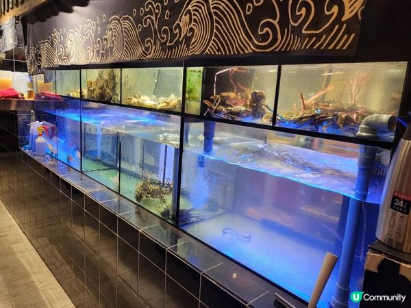 銅鑼灣 ︳新鮮的一人海鮮蒸鍋