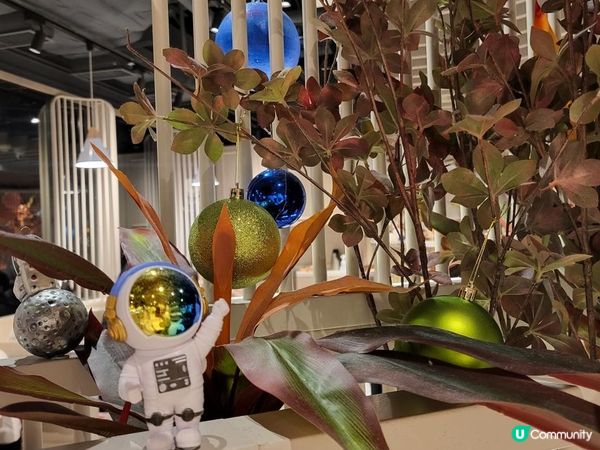 屯門 ︳聖誕限定夢幻美食