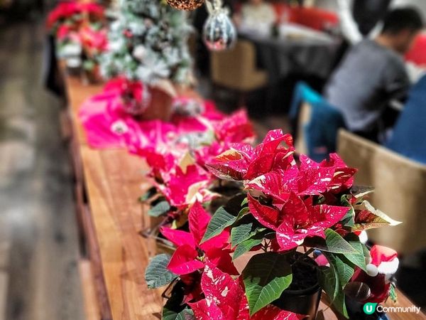 2023 的 Best Choice @ 大班樓 ( 中環 )