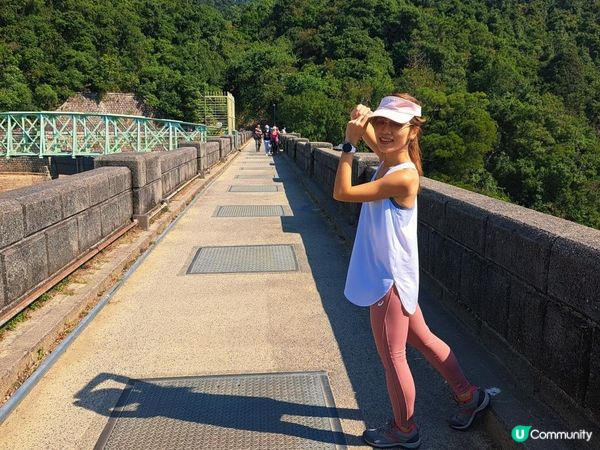 [跟我走。官方四大徑]17 - 衛奕信徑第七至八段半