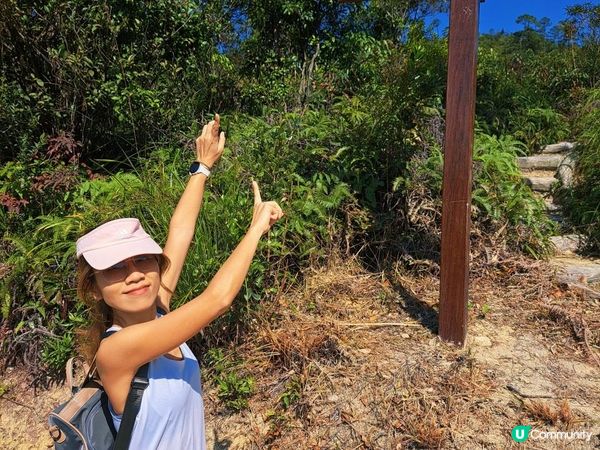 [跟我走。官方四大徑]17 - 衛奕信徑第七至八段半