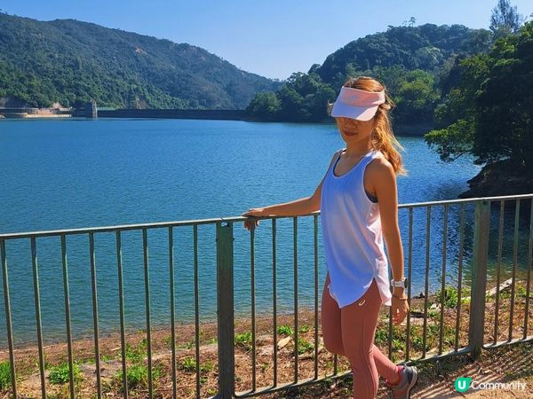 [跟我走。官方四大徑]17 - 衛奕信徑第七至八段半