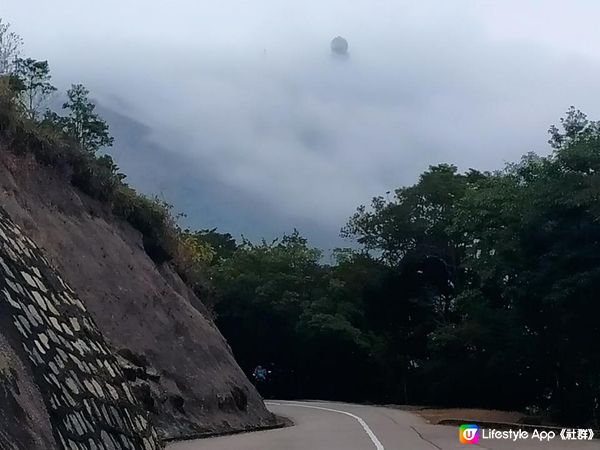 一個人行山去~大帽山觀景台