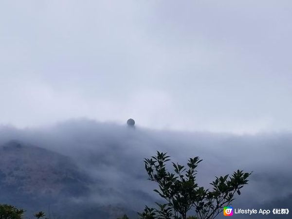 一個人行山去~大帽山觀景台