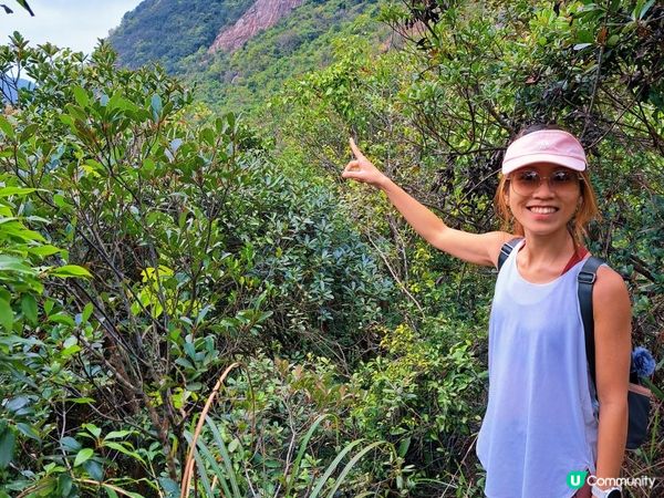 [行山要打卡]51 - 獅尾脊。望夫石