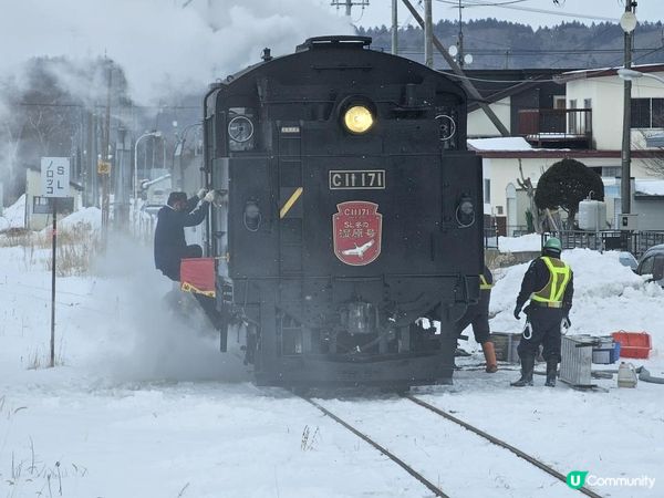 必搭一年只開2個月蒸氣列車！【超難訂位】SL冬季濕原號🚂釧路⇄標茶全攻略～復古蒸汽火車看釧路濕原丹頂鶴蝦夷鹿🦢🦌SL冬の湿原号C11171撮影【北海道自由行2024】｜日本4K VLOG