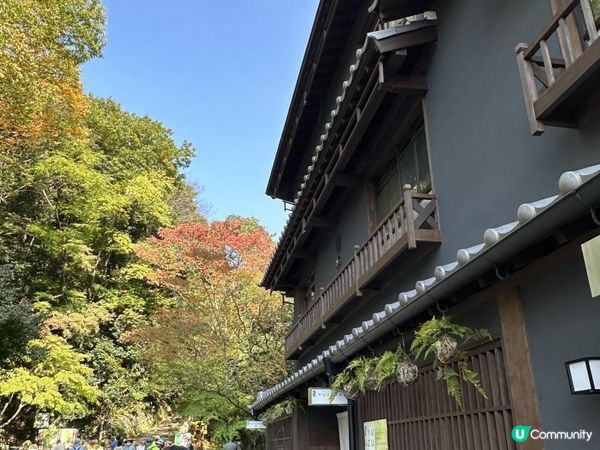 Day2 - 大阪箕面-六箇山（經望海之丘）/箕面山