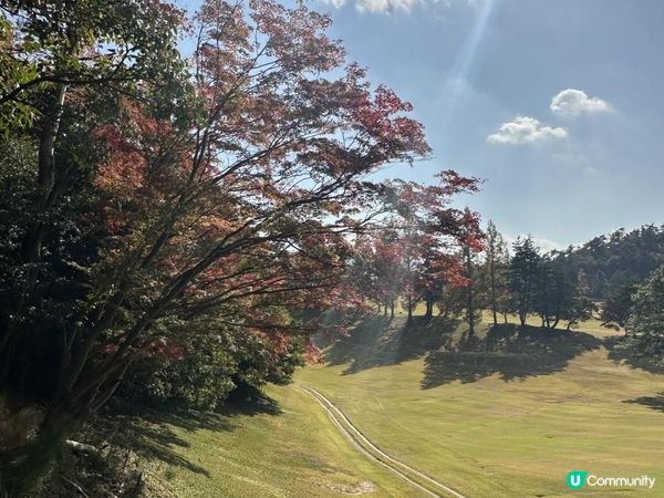 Day2 - 大阪箕面-六箇山（經望海之丘）/箕面山