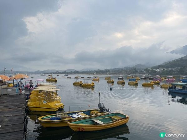 <<支持留港消費>>週末暢遊大尾督