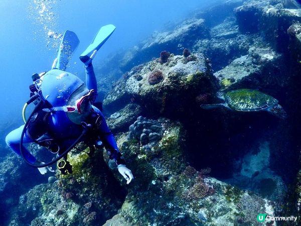 第一次體驗水肺潛水🤿