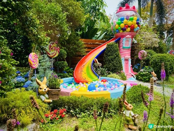 鰂魚涌公園新賞花好去處🪻🪷🌺🐰